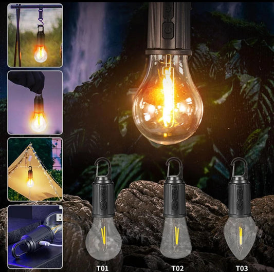 Rechargeable Bulb